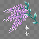 春分节气紫丁香花朵