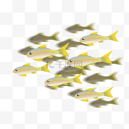 黄色海洋鱼群