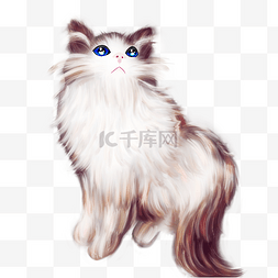 猫的毛发图片_手绘厚涂布偶猫咪写实风格动物