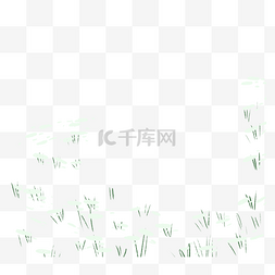 草丛中的小白花