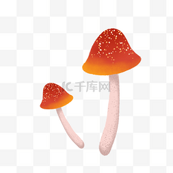 红色网图片_红色的蘑菇