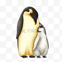 拥抱的小企鹅