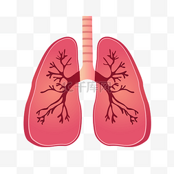人体肺部矢量图图片_手绘卡通肺部插画
