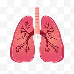 矢量肺部图片_手绘卡通肺部插画