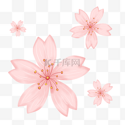 樱花手绘花图片_简约樱花插画海报免抠元素