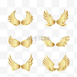 金色质感翅膀图片_金色光泽翅膀组图