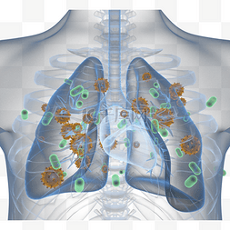 绿色的肺图片_冠状肺炎治疗X射线胶片3d元素