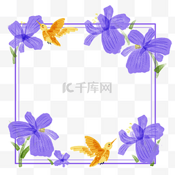 紫藤萝花鸟图片_橘黄色蜂鸟
