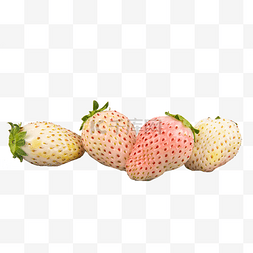 新鲜水果白草莓