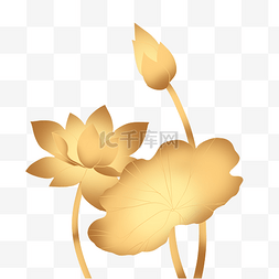 金色莲花