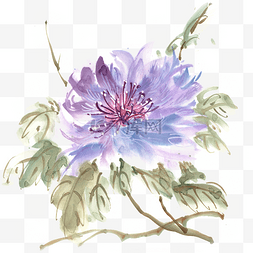 手绘绽放花图片_盛开的紫色花水墨画