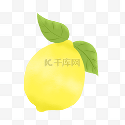 食物水果黄色柠檬