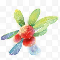 水彩水果手绘梅子元素