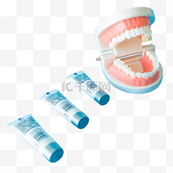 爱牙日口腔护理牙齿模型