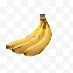 原生态植物图片_美味香甜的大香蕉