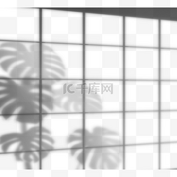 手绘龟背竹图片_手绘创意窗户框植物投影