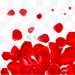 红色玫瑰花堆积在一起