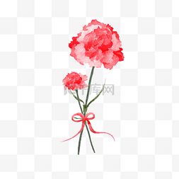 康乃馨手绘花朵图片_母亲节红色康乃馨花朵