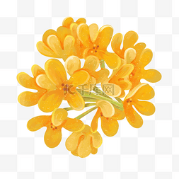 盛开的花gif图片_黄色盛开的桂花