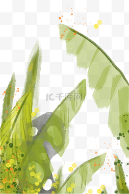 热带植物水彩图片_水彩芭蕉叶绿叶底纹