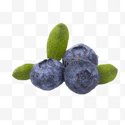 营养丰富绿色蓝莓