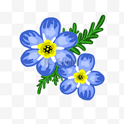 植物花朵蓝色图片_蓝色星辰花植物