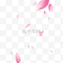 粉色樱花瓣图片_飞舞的樱花瓣