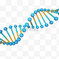 染色体dna图片_dna结构分析