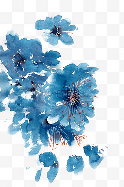 植物花朵蓝色图片_水墨蓝色的毛药卷瓣兰