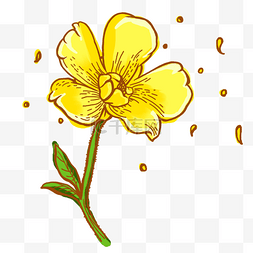 小清新黄色花朵