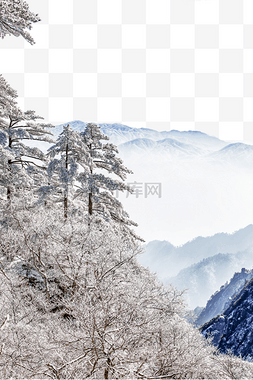 冬天下雪山峰和松树