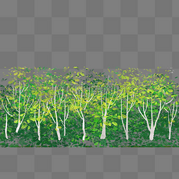 绿色树林树木