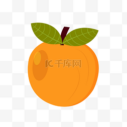 卡通风手绘橘子