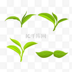 柠檬红茶柠檬绿茶图片_绿色的茶叶