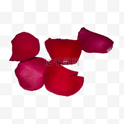 红色深红色图片_深红色玫瑰花瓣