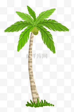 绿色椰子夏季旅游