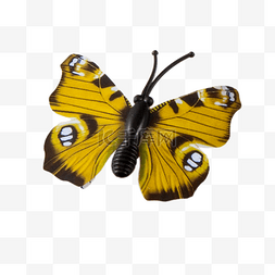 小蝴蝶素材下载图片_美丽的黄色蝴蝶下载