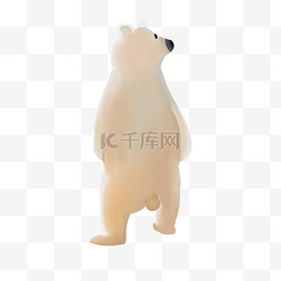 北极熊大白熊