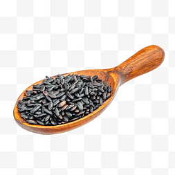 粮食农作物黑米