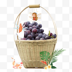 创意摄影水果图片_一篮创意葡萄水果