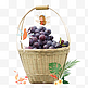 一篮创意葡萄水果