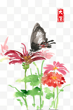 大暑鲜花与蝴蝶
