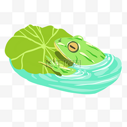 绿色青蛙插画图片_绿色青蛙插画
