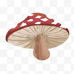 卡通一个可爱的红色蘑菇免抠图