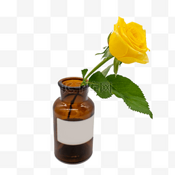玫瑰花和花瓶图片_黄色玫瑰花和花瓶