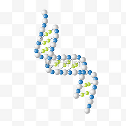 生物基因研究图片_DNA结构图