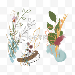 莫兰迪植物插画图片_花草莫兰迪色植物元素