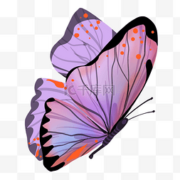 蝴蝶的卵图片_粉紫色卡通蝴蝶插画