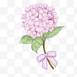 装饰植物花卉图片_手绘粉色绣球花插画夏天