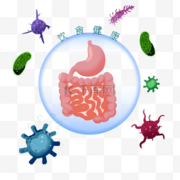 健康肠道图片_人体肠道排毒通便